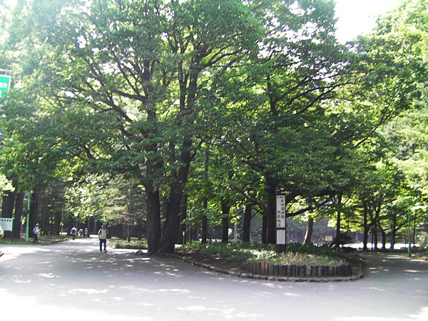 円山公園