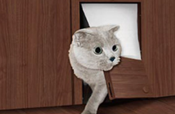 ペット用ドア