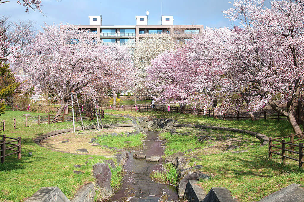 福住小川公園